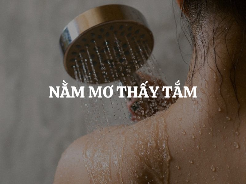 Giới thiệu chung về giấc mơ tắm